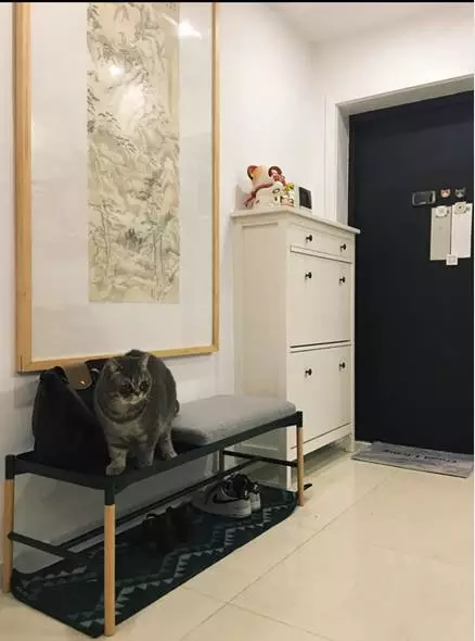 你的家配電箱，所以裝修很漂亮！