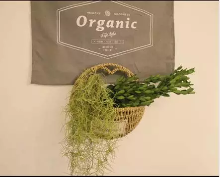 你的家配電箱，所以裝修很漂亮！